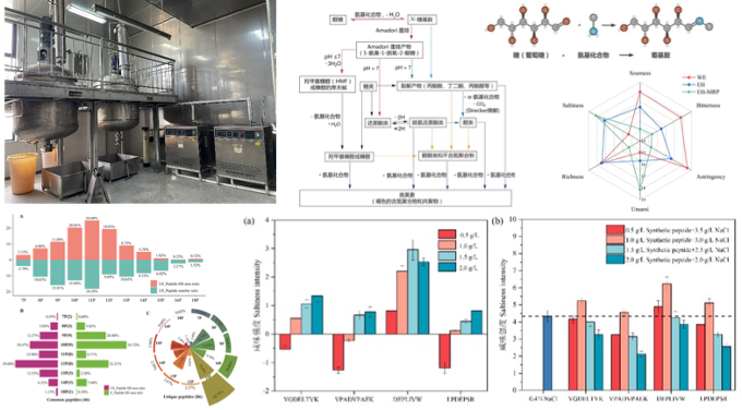 圖片關(guān)鍵詞
