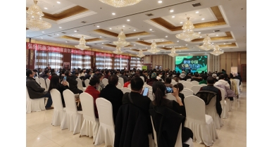 專(zhuān)題報(bào)道