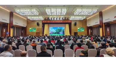 專(zhuān)題報(bào)道