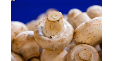 行業(yè)動(dòng)態(tài)