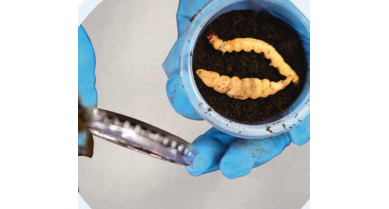 行業(yè)動(dòng)態(tài)